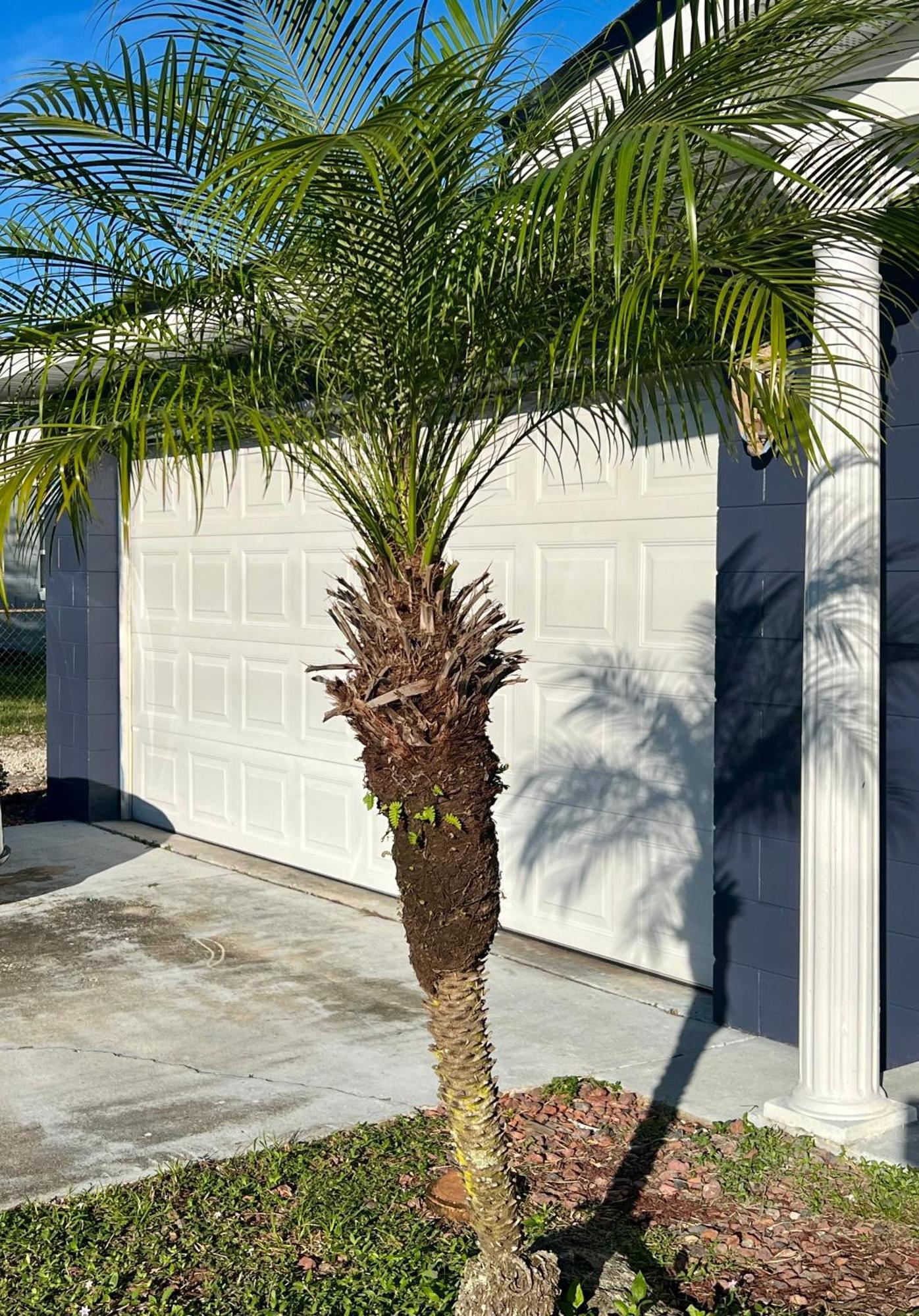 Pool House Oasis Villa Titusville Exterior photo